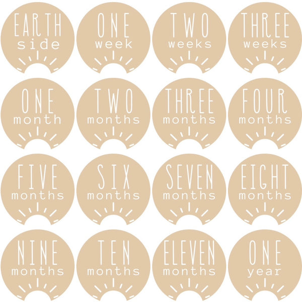 Sunshine Milestone Discs