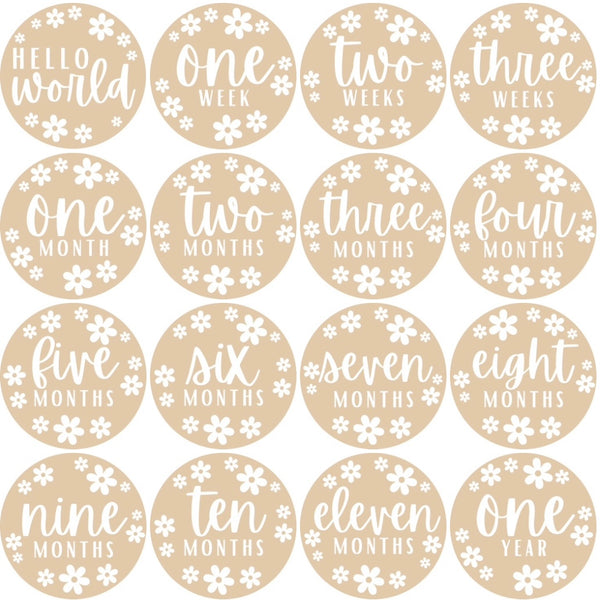Daisies Milestone Discs