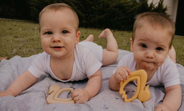 Swan Teether